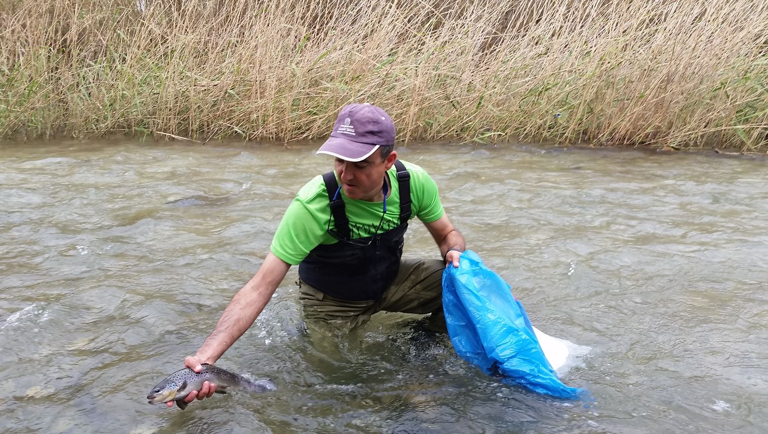 Pesca colaborativa en Comunidad Valenciana