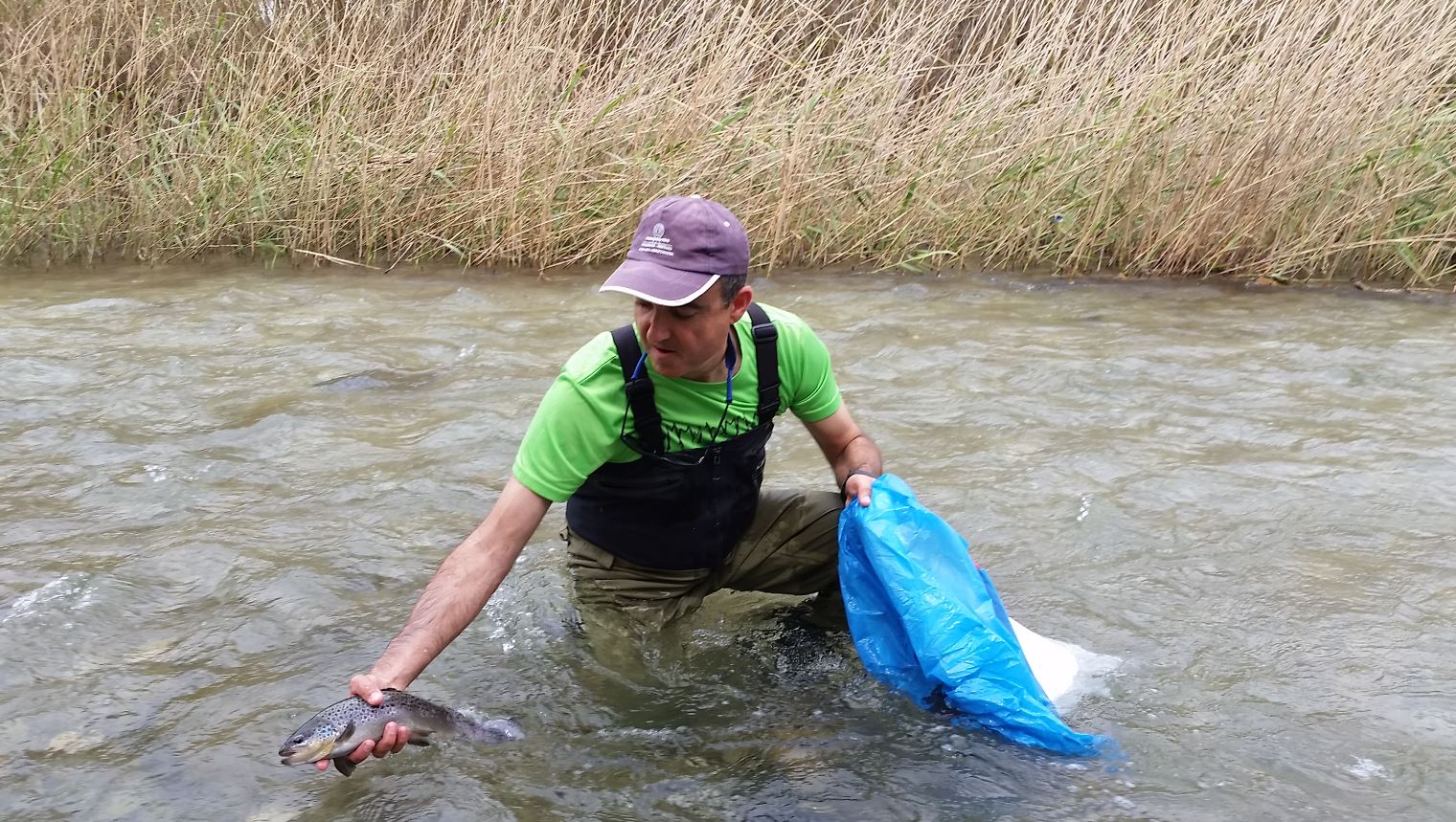 Pesca colaborativa en Comunidad Valenciana