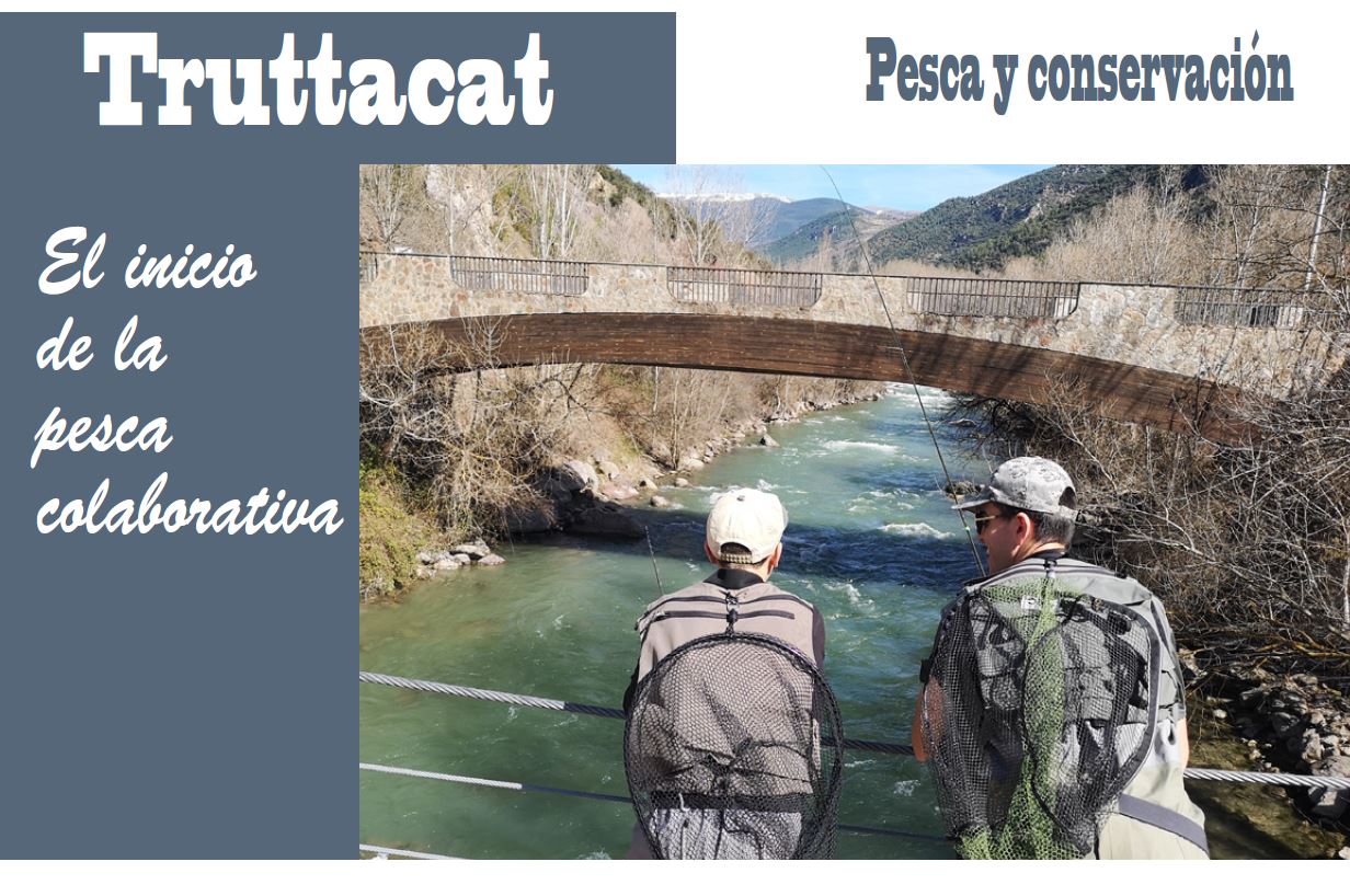 Pesca colaborativa en Cataluña